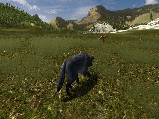 Wolf Quest Free Download For Mac